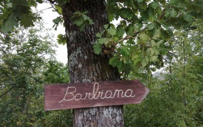 A partire da Barbiana, per dare un nome nuovo alla pace