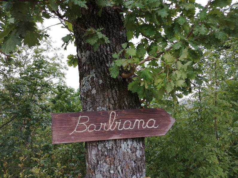 A partire da Barbiana per dare un nome nuovo alla pace